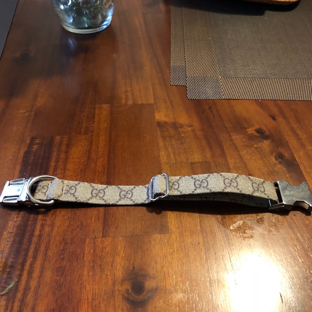 Gucci dog collar